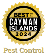 Best in Cayman Island 2024