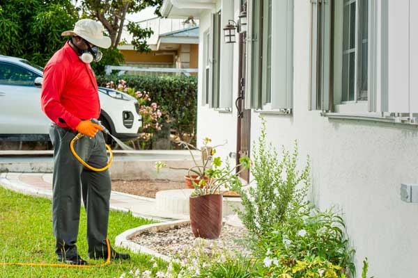 External Perimeter Spraying Service