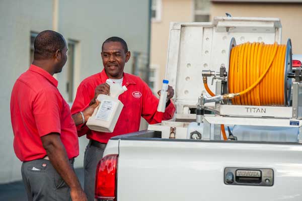 Pest & Hygiene Solution Consulting in Cayman Islands