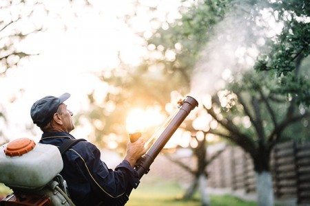 Mosquito Control in Cayman: Protecting Your Home and Family Year-Round