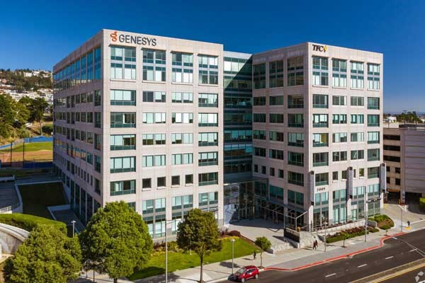 Commercial Pest Control Services in the Cayman Islands