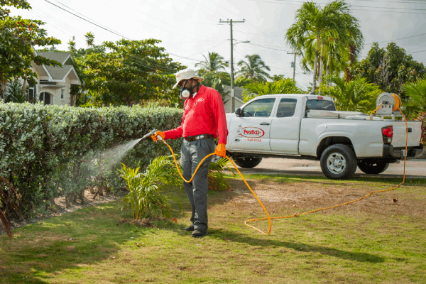 Lawn & Plants Control Services