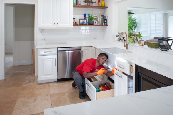 Residential Pest Control Services in the Cayman Islands