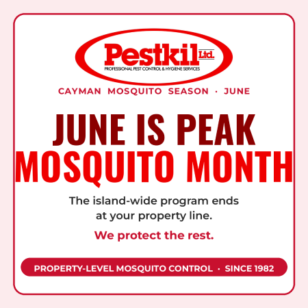 Cayman Mosquito Season: Protect Your Home in June | Pestkil